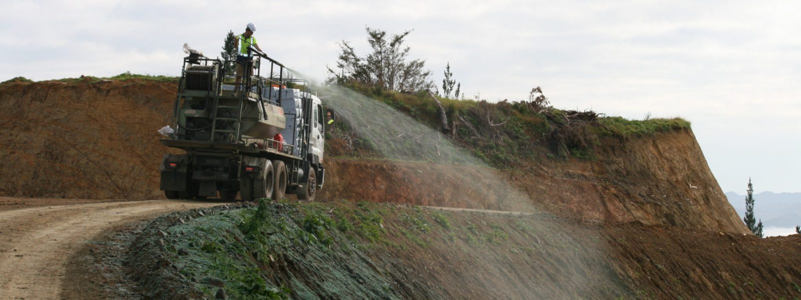Adezivi hidro-însămânțători